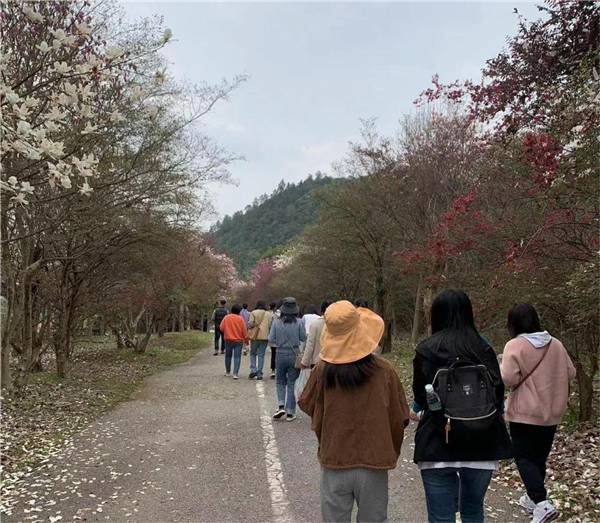 市古鎮(zhèn)投資公司開展“三八”國際勞動?jì)D女節(jié)系列慶?；顒? onmousewheel=